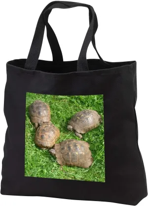 3dRose A photograph of four wild ibera greek tortoises preparing to mate - Tote Bags (tb_332441)