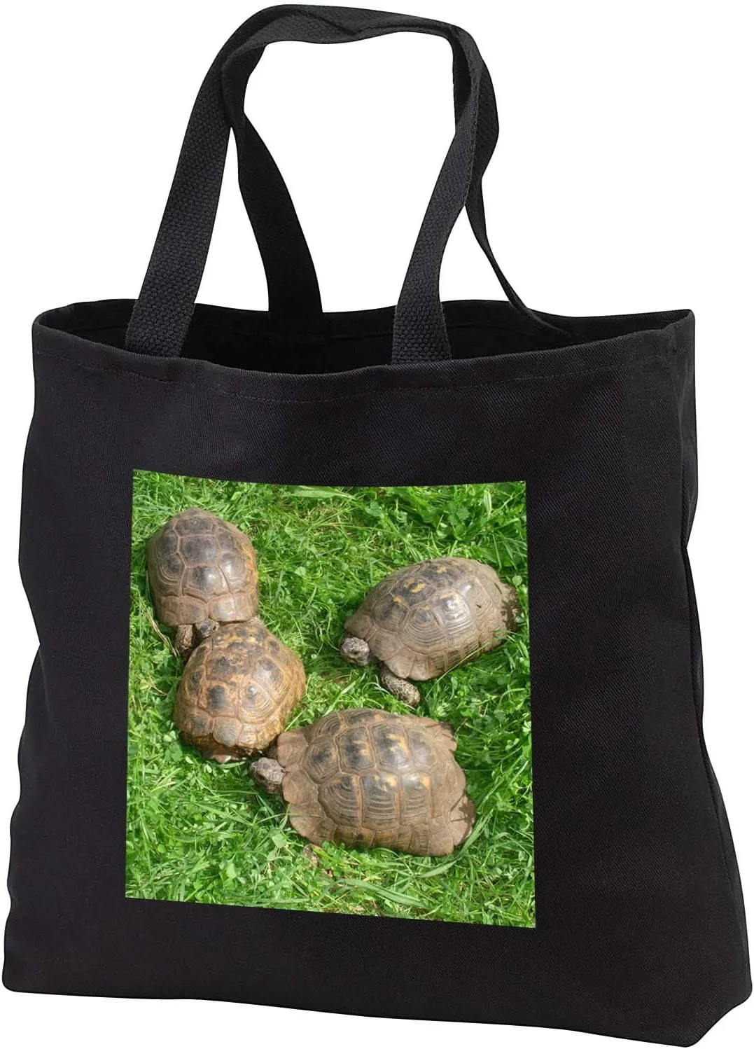 3dRose A photograph of four wild ibera greek tortoises preparing to mate - Tote Bags (tb_332441)