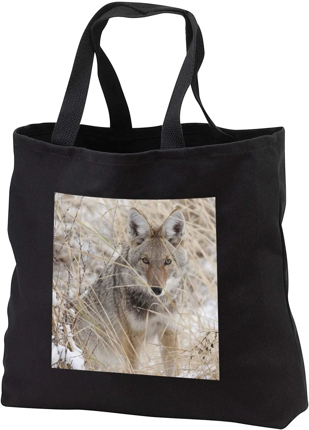 3dRose Danita Delimont - Coyotes - Coyote, winter predator - Tote Bags (tb_345368)
