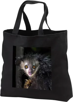 3dRose Madagascar, Akaninny nosy Reserve. Aye aye, nocturnal lemur, eats. - Tote Bags (tb_343089)