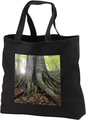 3dRose Photograph of the roots of a giant beech tree in the woods. - Tote Bags (tb_328549)