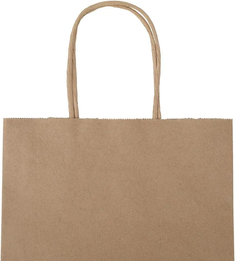bagmad 50 Pack 8x4.75x10 Inch Plain Medium Paper Bags with Handles Bulk, Brown Kraft Craft Gift Bags, Grocery Shopping Retail Birthday Party Favors Wedding Sacks (Natural 50pcs)