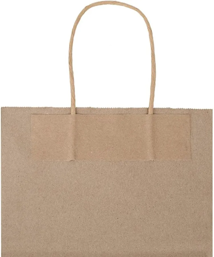 bagmad 50 Pack 8x4.75x10 Inch Plain Medium Paper Bags with Handles Bulk, Brown Kraft Craft Gift Bags, Grocery Shopping Retail Birthday Party Favors Wedding Sacks (Natural 50pcs)