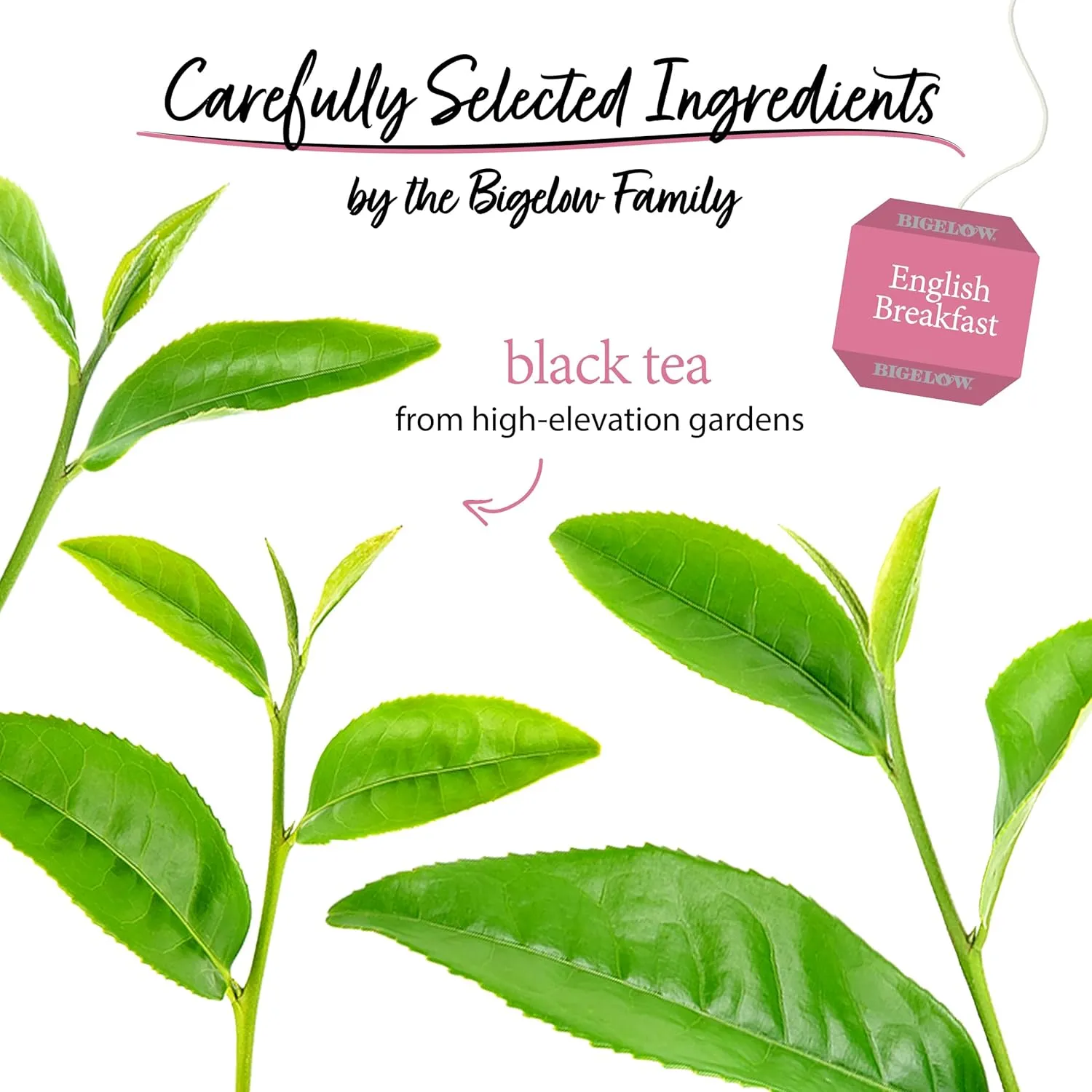 Bigelow Tea English Breakfast Black Tea, Caffeinated Tea, 20 Count Box (Pack of 6), 120 Total Tea Bags