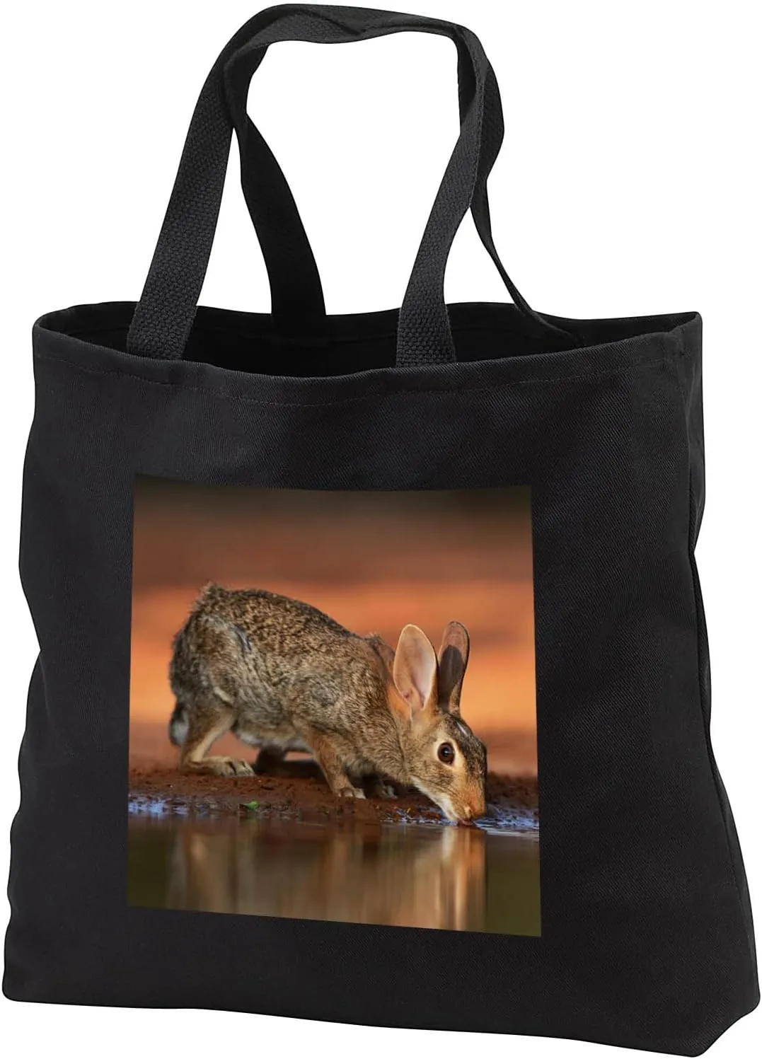 Black Tote Bag JUMBO 20w x 15h x 5d - Eastern Cottontail adult drinking at pond, South Texas Rabbits