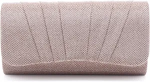 Damara Womens Perfectly Pleated Clutch Party bags (Champagne)