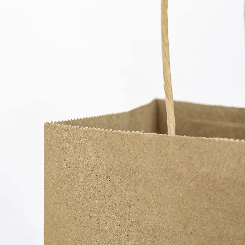 Oikss 100 Pack 8x4.75x10 Inch Medium Brown Kraft Paper Bags with Handles Bulk for Wedding Birthday Party Favors Grocery Retail Shopping Business Goody Craft Gift Bags Sacks (Plain Natural 100 Count)